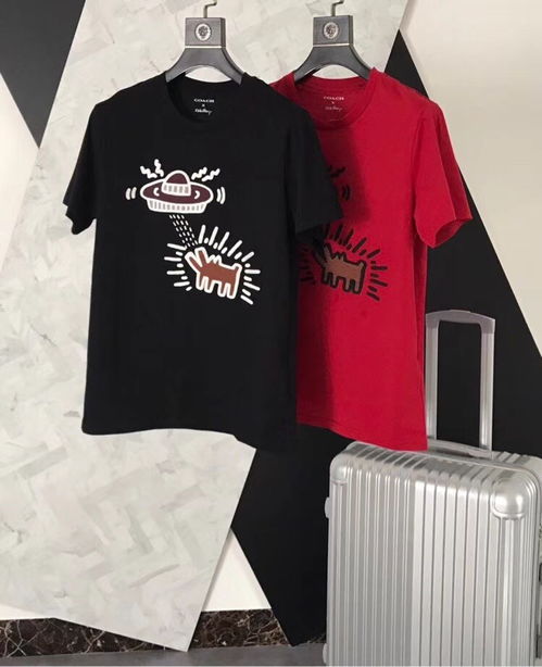 圖 高檔奢偧大牌男裝工廠貨源批發代理 成都服裝 鞋帽 箱包